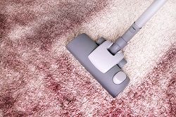 rug cleaners sw17