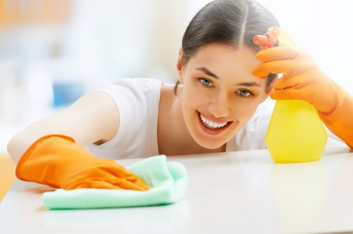 Deep cleaning tools and a spotless interior space