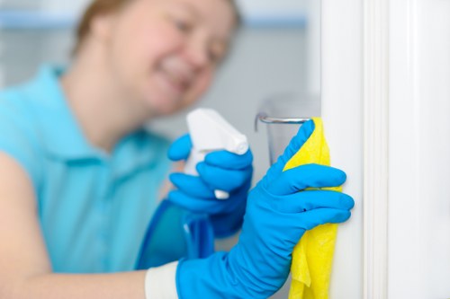 Professional carpet cleaning in a living room