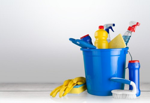 Bathroom deep cleaning with sanitary focus