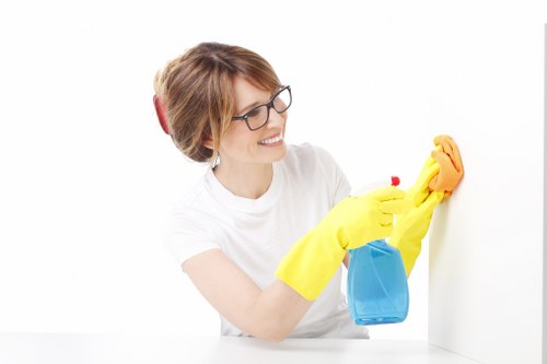 Professional mattress cleaning for stains and odors